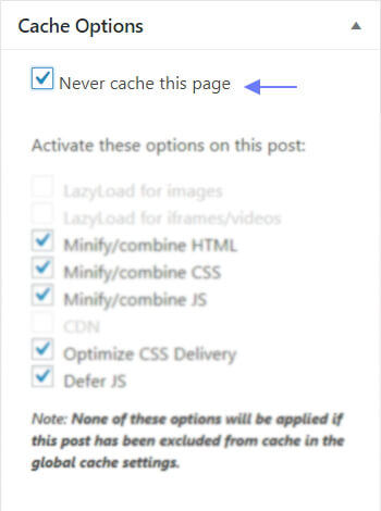 WP Rocket caching options