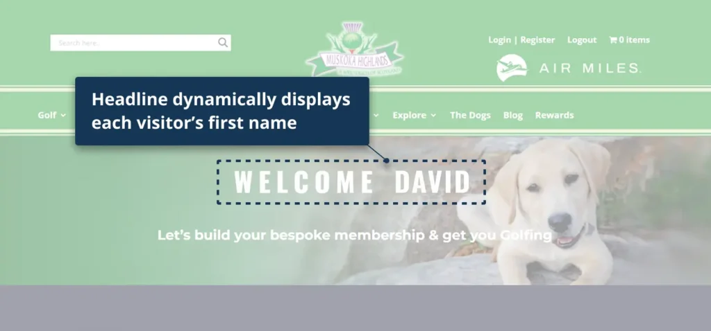 Real-World Case Studies 13 Dynamic Headline Muskoka Highlands