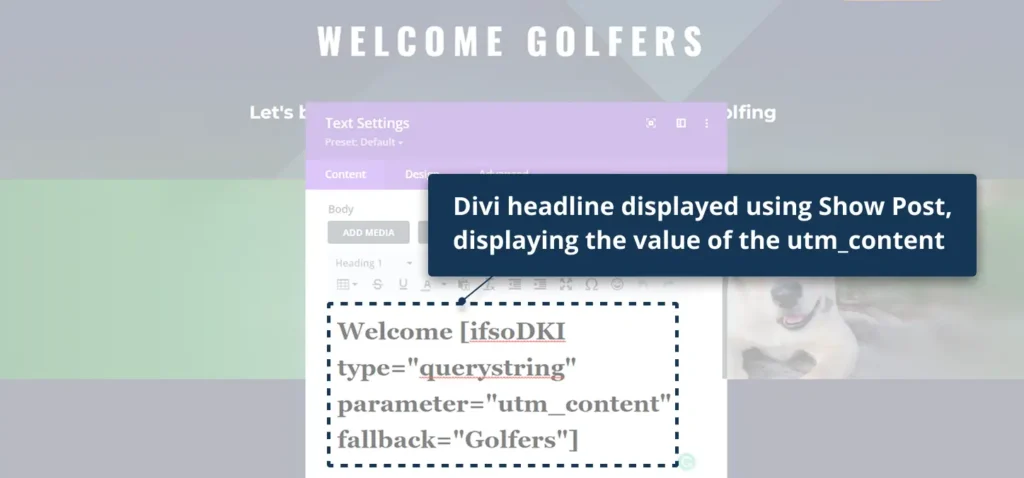 Real-World Case Studies 15 divi headline setup muskoka highlands